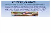 EXPOSICIÓN DE 2013-COPASO