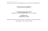 Manual de Lab Oratorio Tqsc 2011 (2)