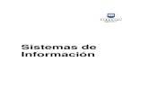 Sistemas de Información 2010 Edit2