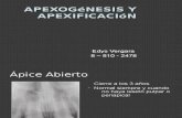 Apexogénesis y apexificación