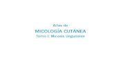 Atlas de Micologia CutaneaTomo1