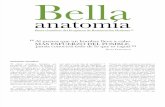 BELLA ANATOMIA-PRH[1]