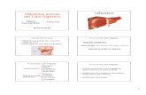 3 Hígado-Pancreas y Vesícula Biliar