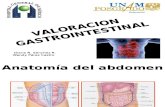 Valoracion de Gastrointestinal
