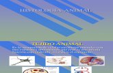 GEST 2020 Clase 6 Tejidos Animales