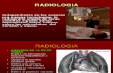 Radiologia ACTUAL 2010