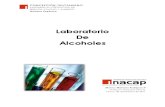 informe de alcoholes 2.0