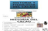 Expo Sic Ion Historia y Fisiologia Del Cacao