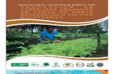 Produccionde Hortalizas Bio Cultivo Bio Intensivo Bolivia