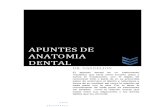 Apuntes de Anatomia Dental Dr. Dandelion