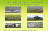 Generalidades del cultivo de Arroz en la República Dominicana