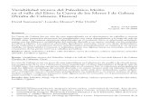 Santamaria et ali 2009 -Variabilidad técnica del Paleolítico Medio en el valle del Ebro-