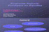 4B-Poliuria-Polidipsia en el Equino[1]