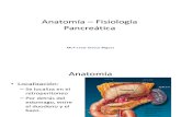 Anatomía – Fisiología Pancreatica