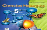 ciencias naturales (5 básico, guía del profesor).pdf.crdownload