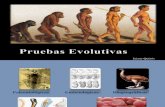 Pruebas Evolutivas - Jaime_Quiros