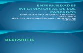 Enfermedades Inflamatorias de Los Parpados, Clase