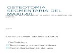 Osteotomia Segment Aria Del Maxilar