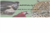 Animales Peruano en Peligro de Extincion