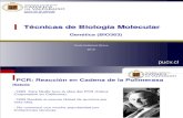 Tcnicas de Biologa Molecular I