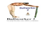 Bull Worker 2