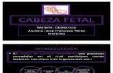Cabeza Fetal Obstetricia