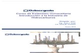 Introducción al Sector de Hidrocarburos_Verano 2012