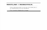 Matlab Robotica