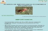 ACAROS DE IMPORTANCIA ECONÓMICA DE LOS CITRICOS