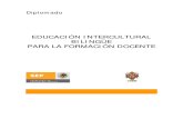 Diplomado La Educacion Intercultural Bilingue Para La Formacion Docente