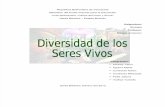 Divers Id Ad de Los Seres Vivos