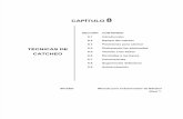 Manual Del Catcher(Capitulo_08)