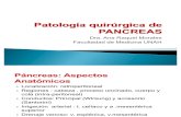 Patología quirúrgica de PANCREAS  ARM
