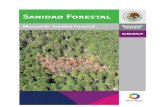 810Manual de Sanidad Forestal