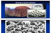 Percepcion Individual