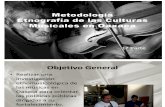 Etnografía de las Culturas Musicales en Oaxaca-enero2012