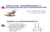 ANILLOS, MEMBRANAS Y DIVERTÍCULOS ESOFÁGICOS1