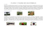 Flora y Fauna de Toda Centro America
