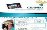 CRANEO - Semiología