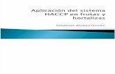 Aplicación del sistema HACCP en frutas y hortalizas
