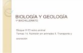 BIOLOGÍA Y GEOLOGÍA. Tema 14 Nutrición II