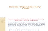 Estudio Legal y Organizacional (3)