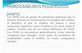 Toxicologia de Hidrocarburos Policiclicos (Haps)Diapos