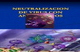 Neutralizacion de Virus Con Anticuerpos