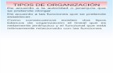 TIPOS DE ORGANIZACIÓN