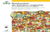 Produccion de Baanno Organico Earth