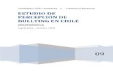 Estudio de Percepcion de Bullying en Chile