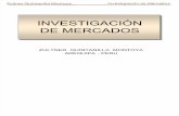 INVESTIGACIÓN DE MERCADOS - CURSO 2011