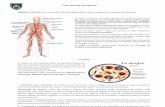 Guía Sistema circulatorio 1