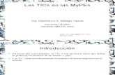 Ponencia TICs y MyPEs